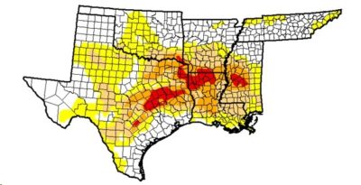 Southern Plains Bison Pointers Sept 2015 